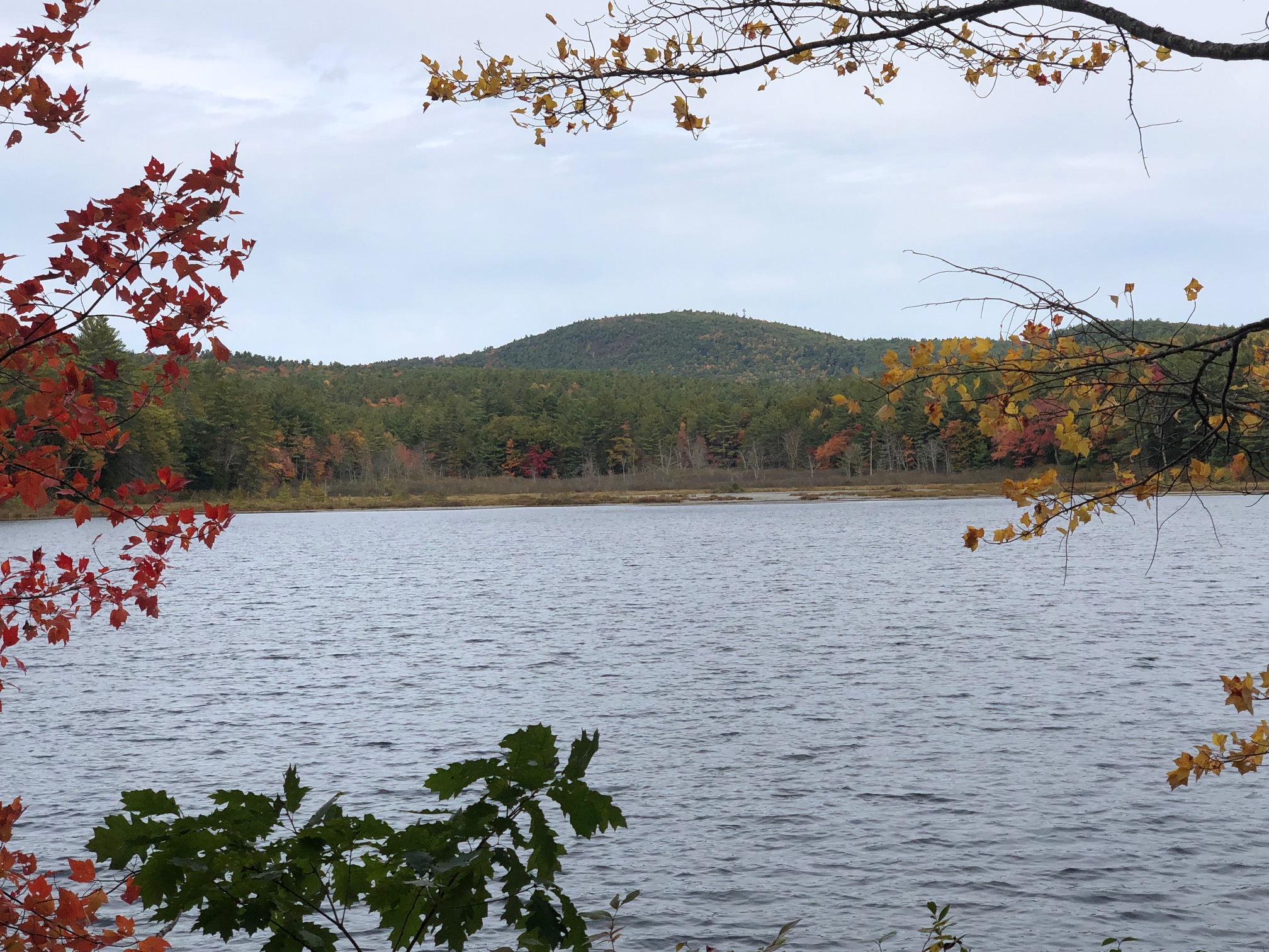 View overlooking Moores Pond with Mount Grace in the distance, 2019